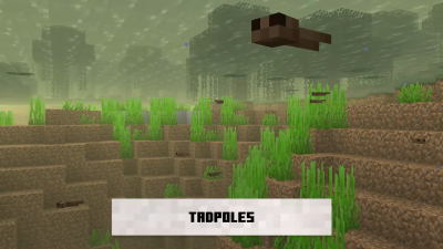 warped-fungus-on-a-stick:dash-n-step:Fellas, if your game has:A Simple StyleAn Emphasis