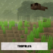 warped-fungus-on-a-stick:dash-n-step:Fellas, if your game has:A Simple StyleAn Emphasis