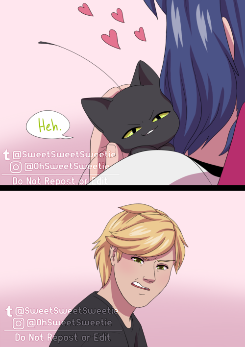 sweetsweetsweetie:Post-reveal pre-relationship secretly fighting over Marinette’s affection. Score o