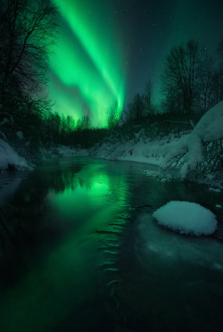 cedorsey:  Lomaas CreekPhoto Credit: (Arild Heitmann)The photographer deserves credit so DO NOT remove credit information. Thank you.