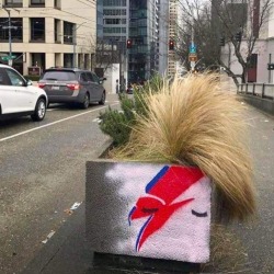 wherethefuckisthetoaster: