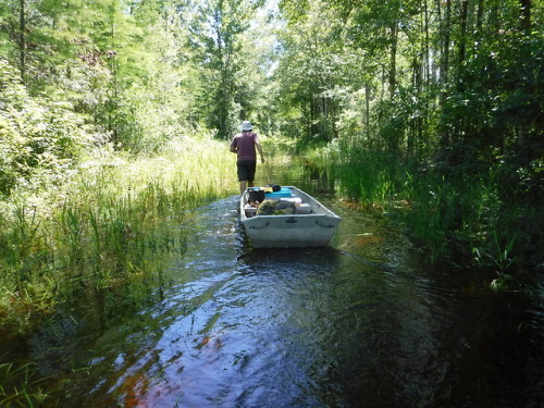 When your project area floods, you have to adapt. The sites are high and dry, but the access roads a