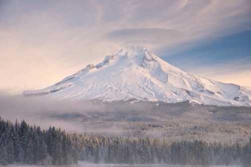 un-in-formed: scenerybook: Oregon Nature/Luxury
