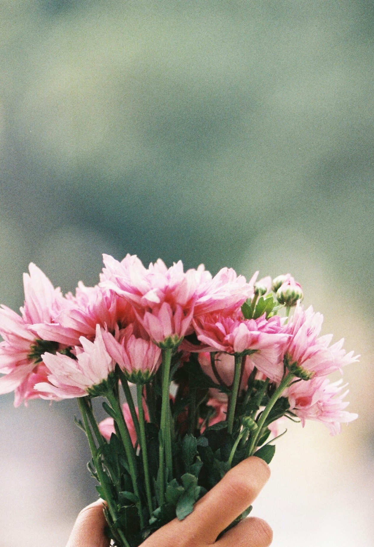  nature &amp; vintage blog 