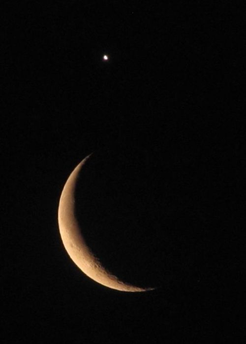the-wolf-and-moon:Moon with Venus