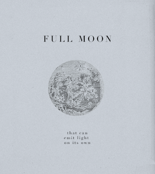 tovbio:  “His last name has ‘moon’ (月), but I named him ‘firefly’ (蛍) 