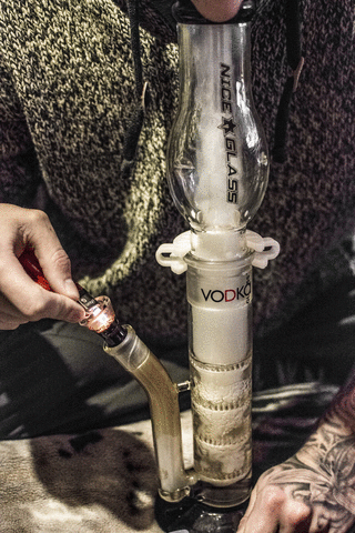 rogueganja: