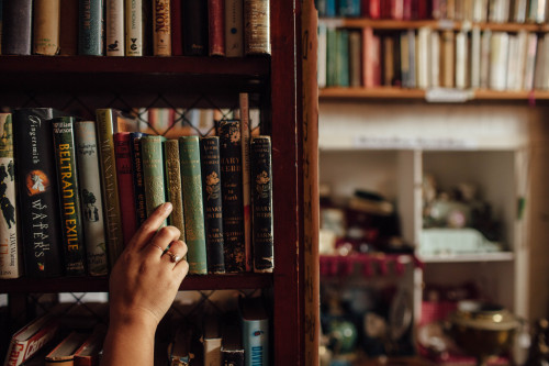 extracelestial: saying goodbye to the shop today, but many more photos to come.life in a bookshop, n