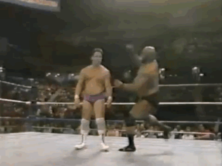 tumblr_nxmu69JySH1sj4xr4o1_500.gif