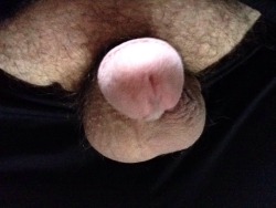 nvgayboi:  I need a BJ and a hot ass on my cock! Fuck I’m horny
