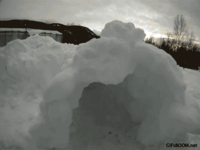 gifsboom:  Corgi Snow Tunnel. video 