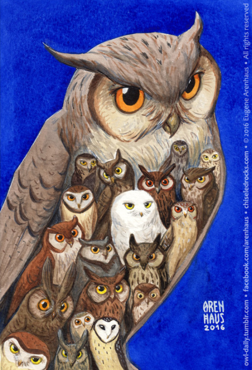 №500: Owlful owl.Five hundred owls!!! YAAAAAAAAA!!!! 8-)