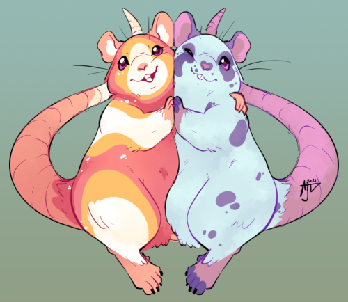 snuggly wuggly ratties rat rats! Parfait and Raisins the sparkle rats!