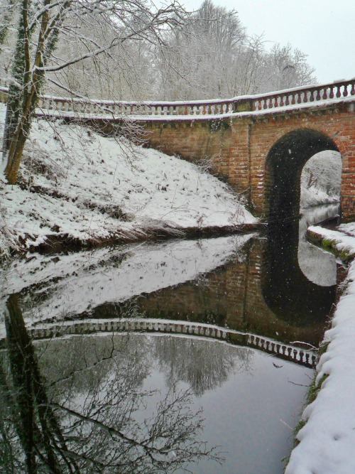 vwcampervan-aldridge:  Snow falls over the Bridge to Chillington Hall, Brewood, Staffordshire, England All Original Photography by http://vwcampervan-aldridge.tumblr.com