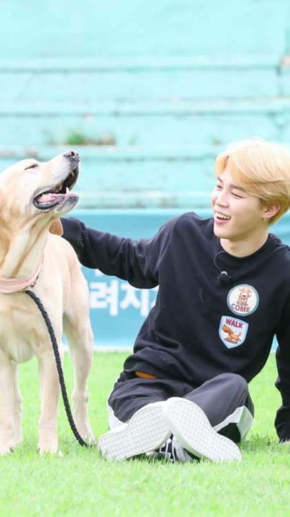 bangtan-wallpaper - BTS with dogs Wallpapers Please...