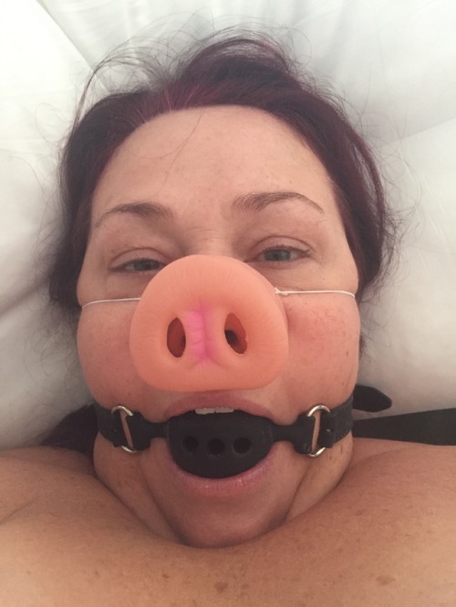 fatslaves: Just a Pig