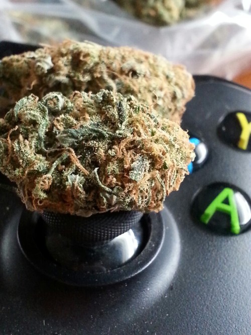 smoketogethighcustheworldissolow:  I hope you brought the papers, you know i brought the trees.