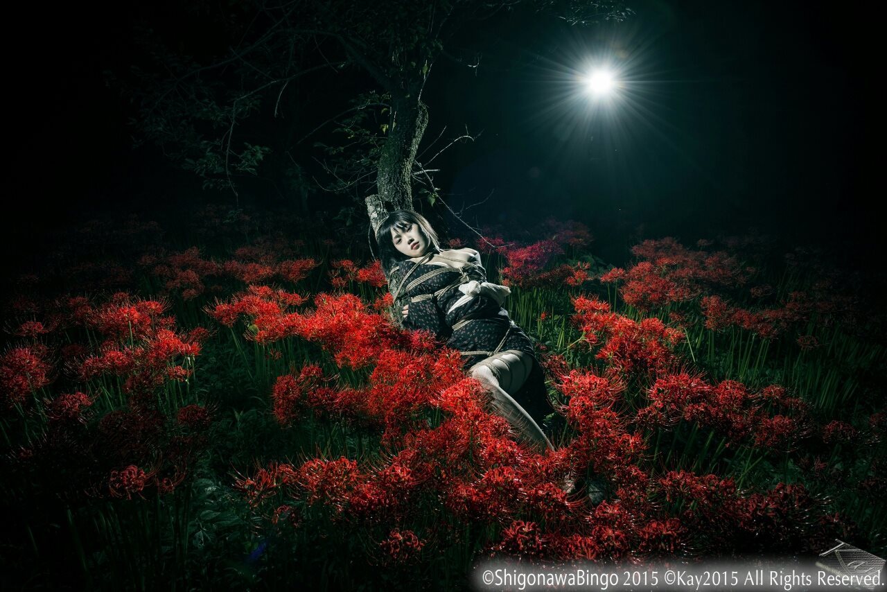 justscreenshots:Shibari Shigonawa BingoModel Chiyako Photo Kay