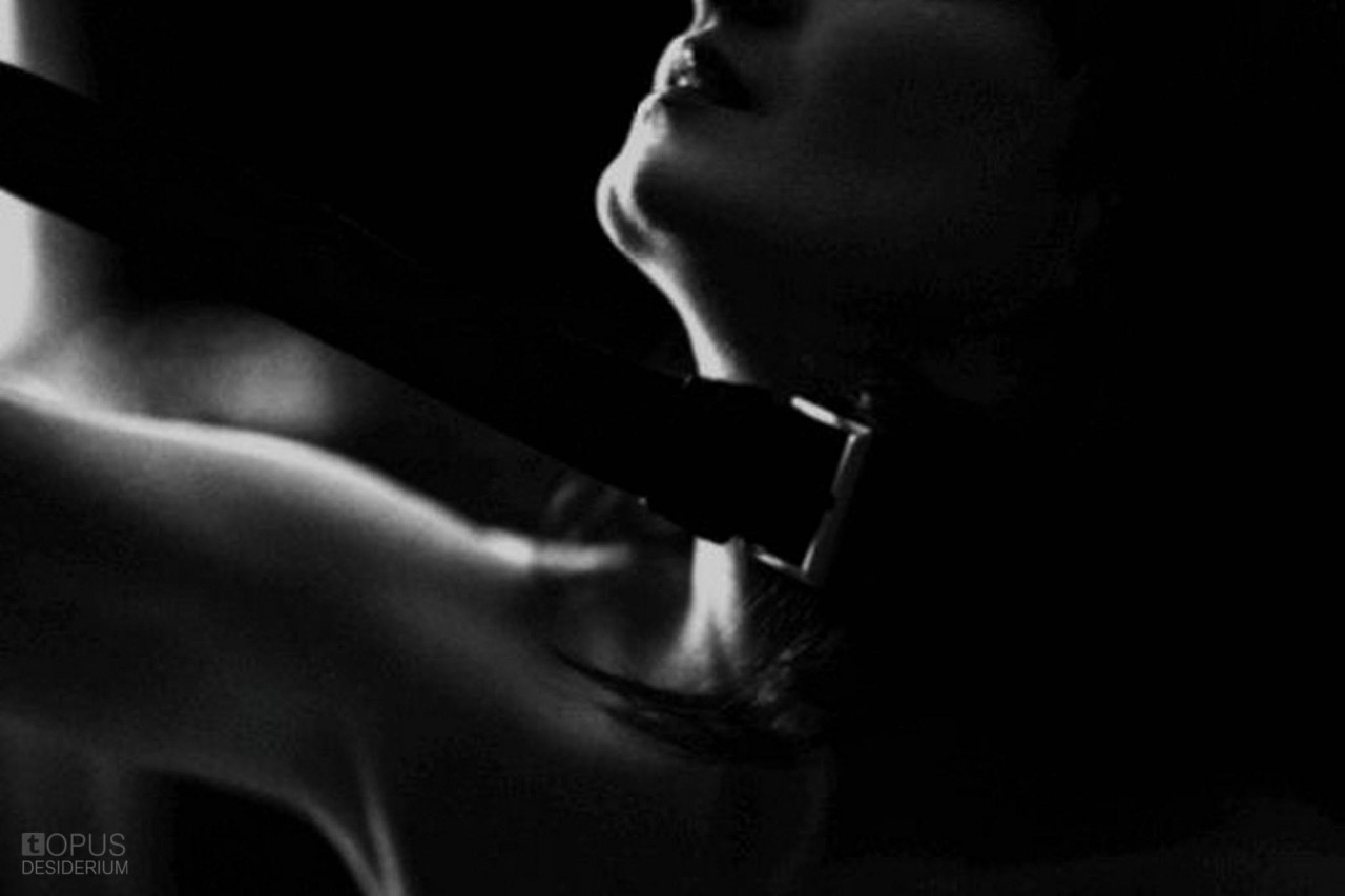 ANIMA GEISHA