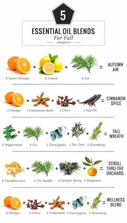 5 Essential Oil Blends for Fall InfographicAutumn AirCinnamon SpiceFall WreathStroll thru the Orchar