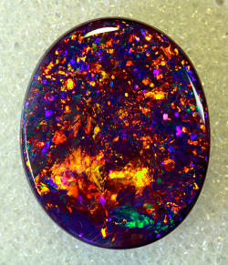 raspberry-yogurt:  The Black Opal is the