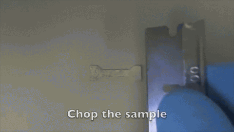 txchnologist: New Plastic Heals Itself When Cut A project harnessing squid genetics