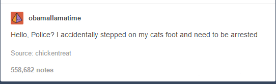 itsstuckyinmyhead:  The Cats of Tumblr 
