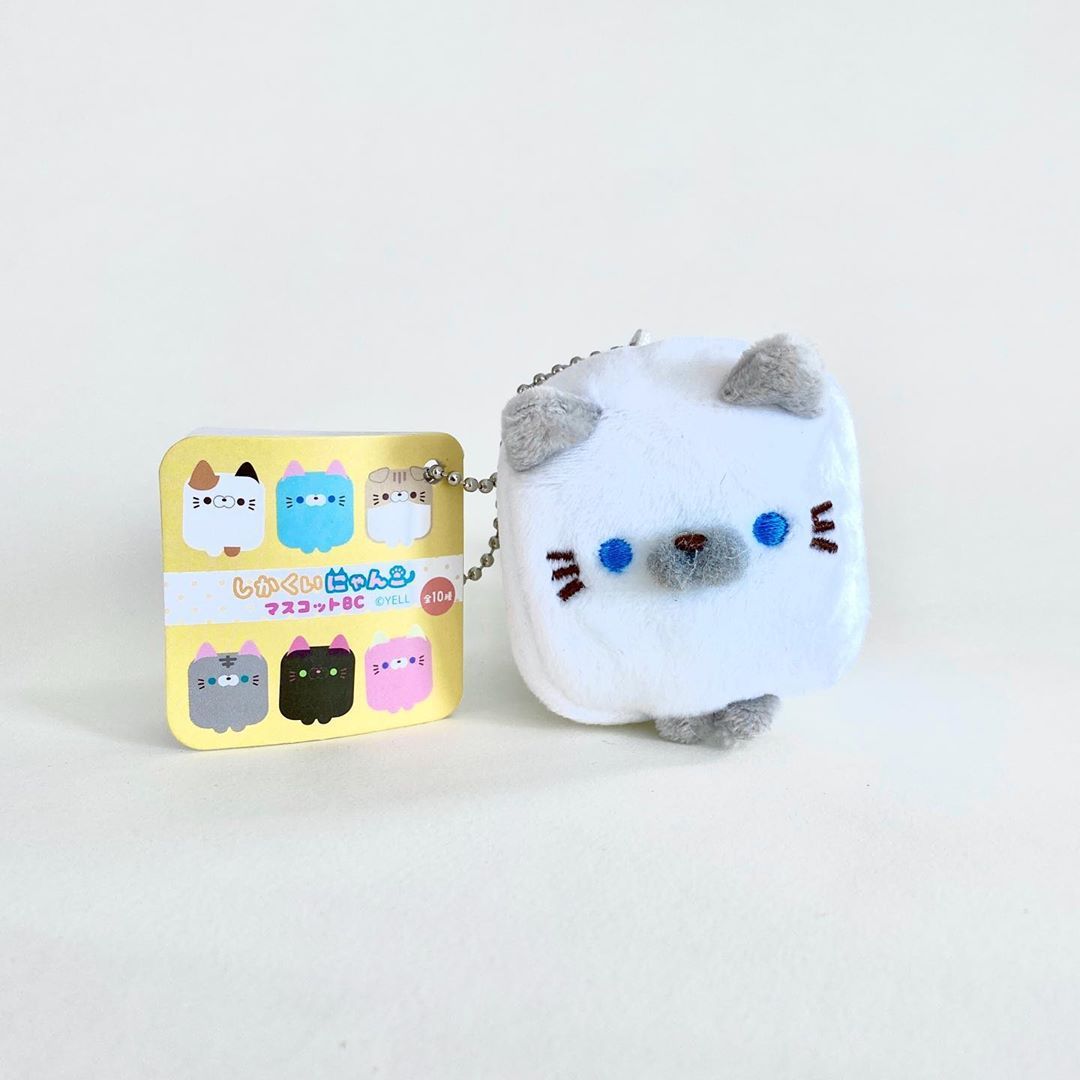 Cube Cat Plush 