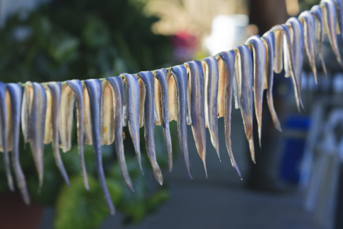 Eel fish hanging in the Delta de l’Ebre area, in the South of Catalonia. Below, two common ways of e