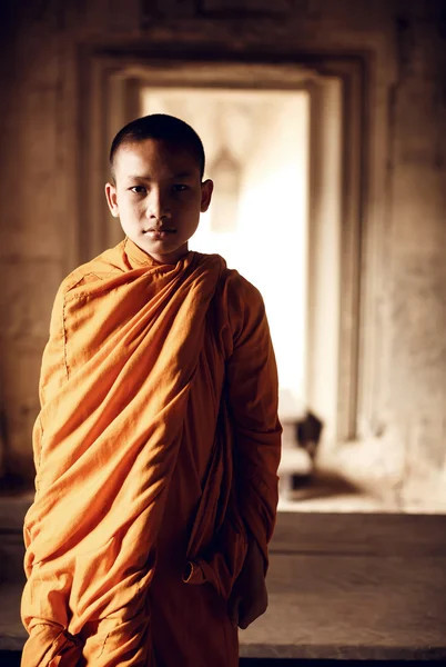- The Last Journey Of Buddha -