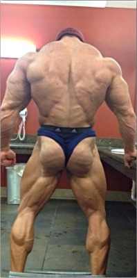 Bodybuilding