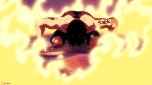 okami-fr:  [ONE PIECE] E482