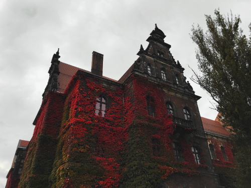 duettaeann - The National Museum in Wrocław (Poland)