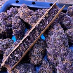 deep-thoughtslove:  Purple kush on We Heart