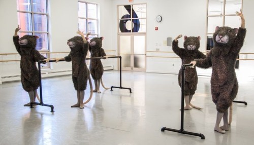 Nutcracker Season Soon!!