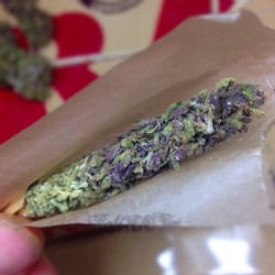 totesstoned:  Dat purp doe.