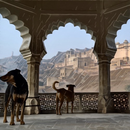 Fort dogs of RajasthanImage: Jorin SieversSee the original image here