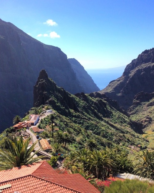 view on masca / tenerife