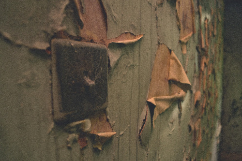 Abandoned House