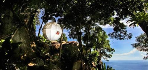 culturenlifestyle:  The Cocoon Tree The Cocoon Tree is a small circular tent, which is suspended on trees, according to one’s desire or needs. Available in 12 different colors, ranging from purple to green, the circular shape is a conscious design