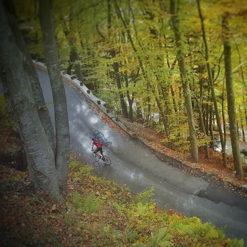 explorebehindbars: #Switzerland#Suisse#Chablais#Morcles#climb#roadcycling#véloderoute#roadcyclingpic