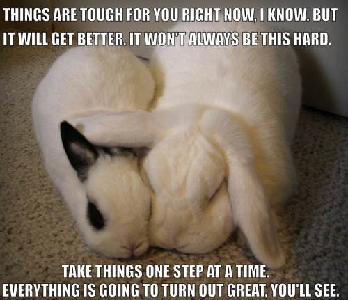 turning-back-into-soil:  Emotional support bunnies 