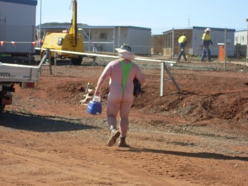 thebigbearcave:  LOL dig dig dig that archive!