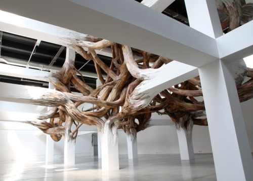 culturenlifestyle:  Twisted Tree Branch Installation by Henrique Oliveira Brazilian artist Henrique Oliveira’s installations often feature a spectacular presence of tree branches overpowering artifice. Titled Baitogogo, the sculpture  seems to be