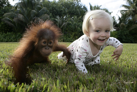 these-times-shall-pass:  feeling sad? look at this baby animal blog!