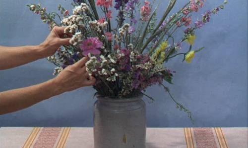 blushm:Le Bonheur (Agnès Varda)