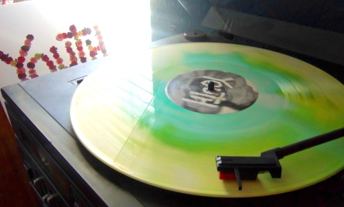 ilostmyheadinthecrowd:  my vinyl came today and its beautiful i’m crying 
