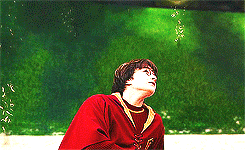   harry potter meme: three movies → chamber of secrets (2/7)  