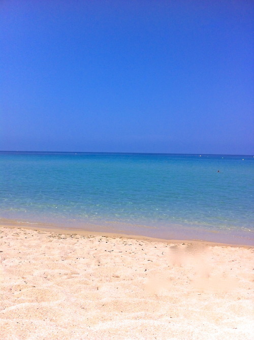 b-e-u-t-i-f-u-l-w-o-r-l-d:  something—confused:  http://something—confused.tumblr.com/ 