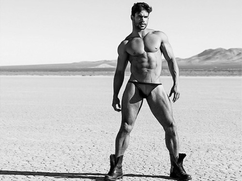 tornepl:  Willie Gomez by Kevin McDermott 
